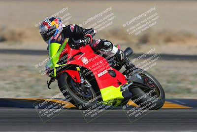 media/Feb-04-2023-SoCal Trackdays (Sat) [[8a776bf2c3]]/Turn 4 (Tree of Life 2pm)/